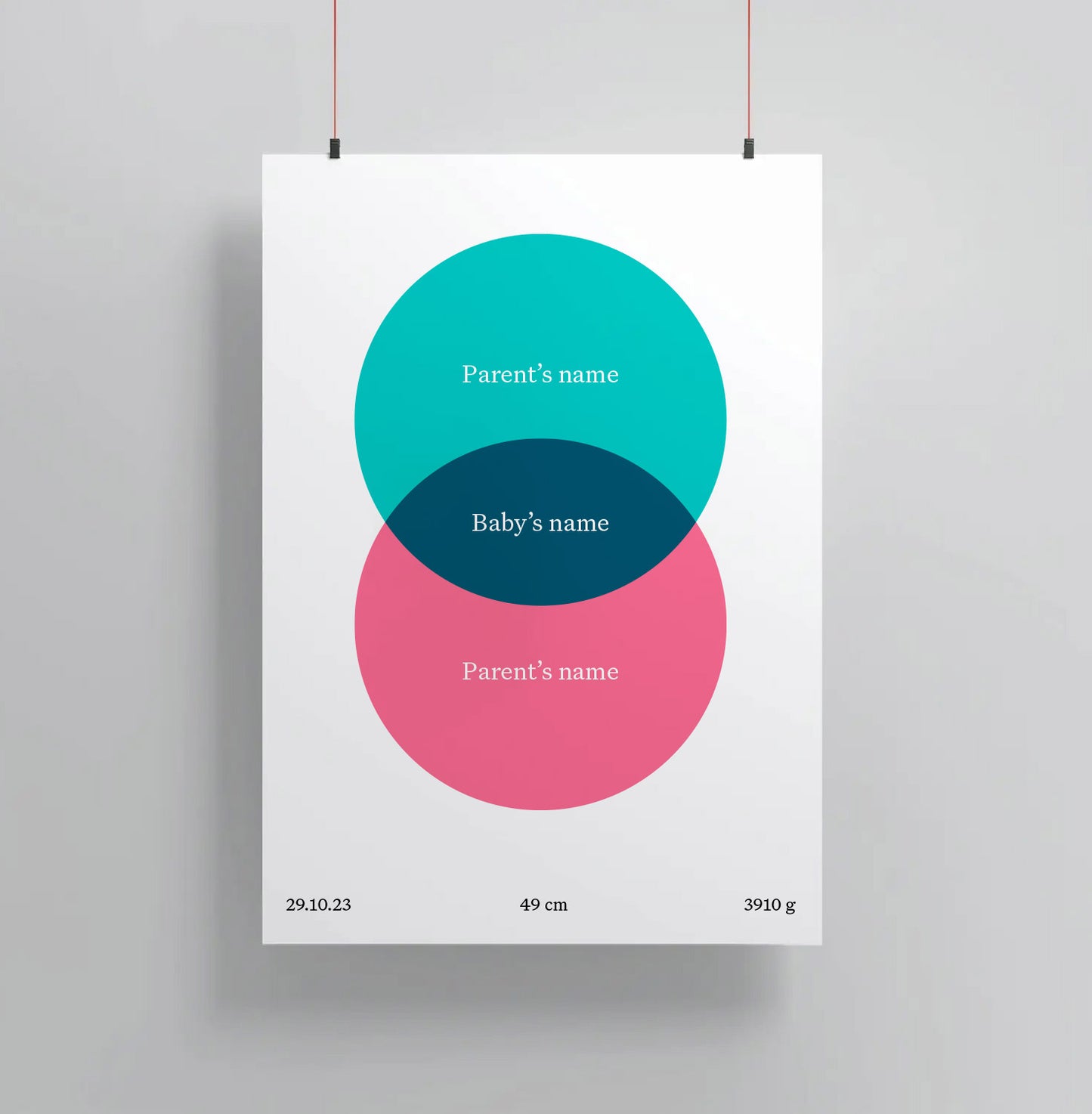 Birth Venn Poster (Free Shipping Worldwide!)