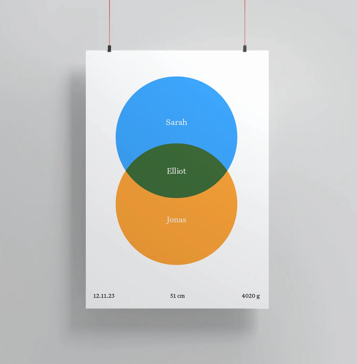 Birth Venn Poster (Free Shipping Worldwide!)