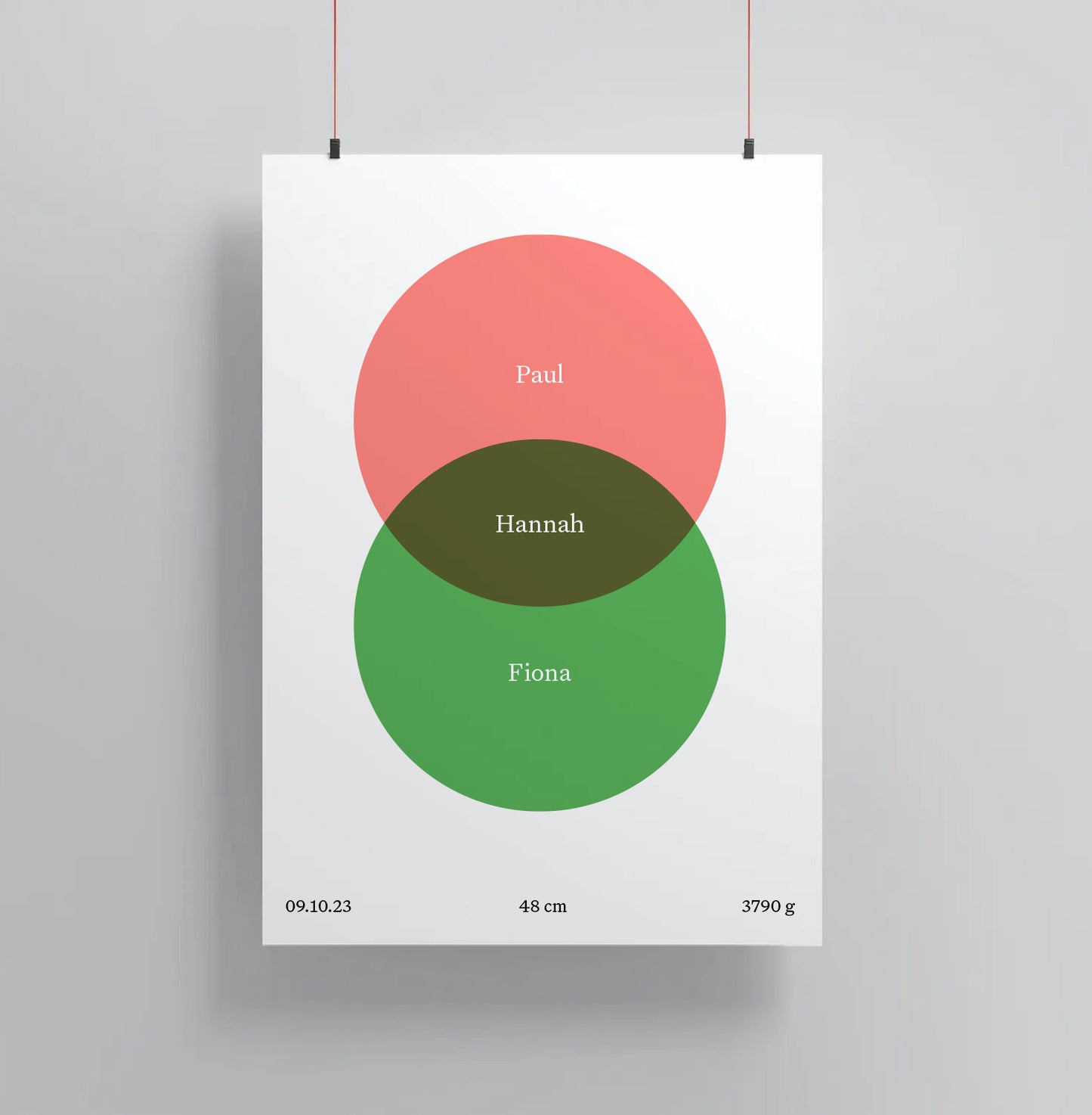 Birth Venn Poster (Free Shipping Worldwide!)