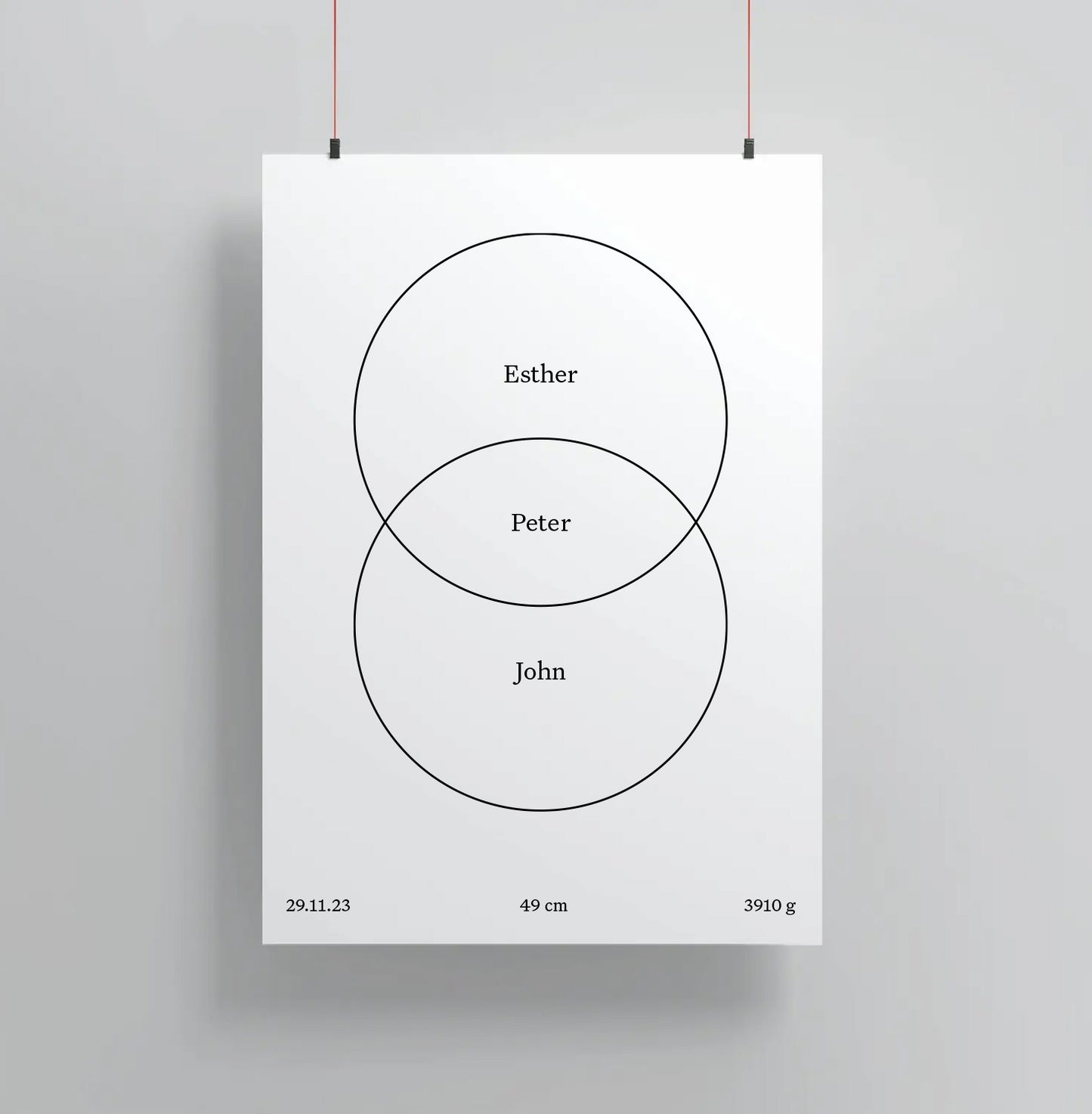 Birth Venn Poster (Free Shipping Worldwide!)